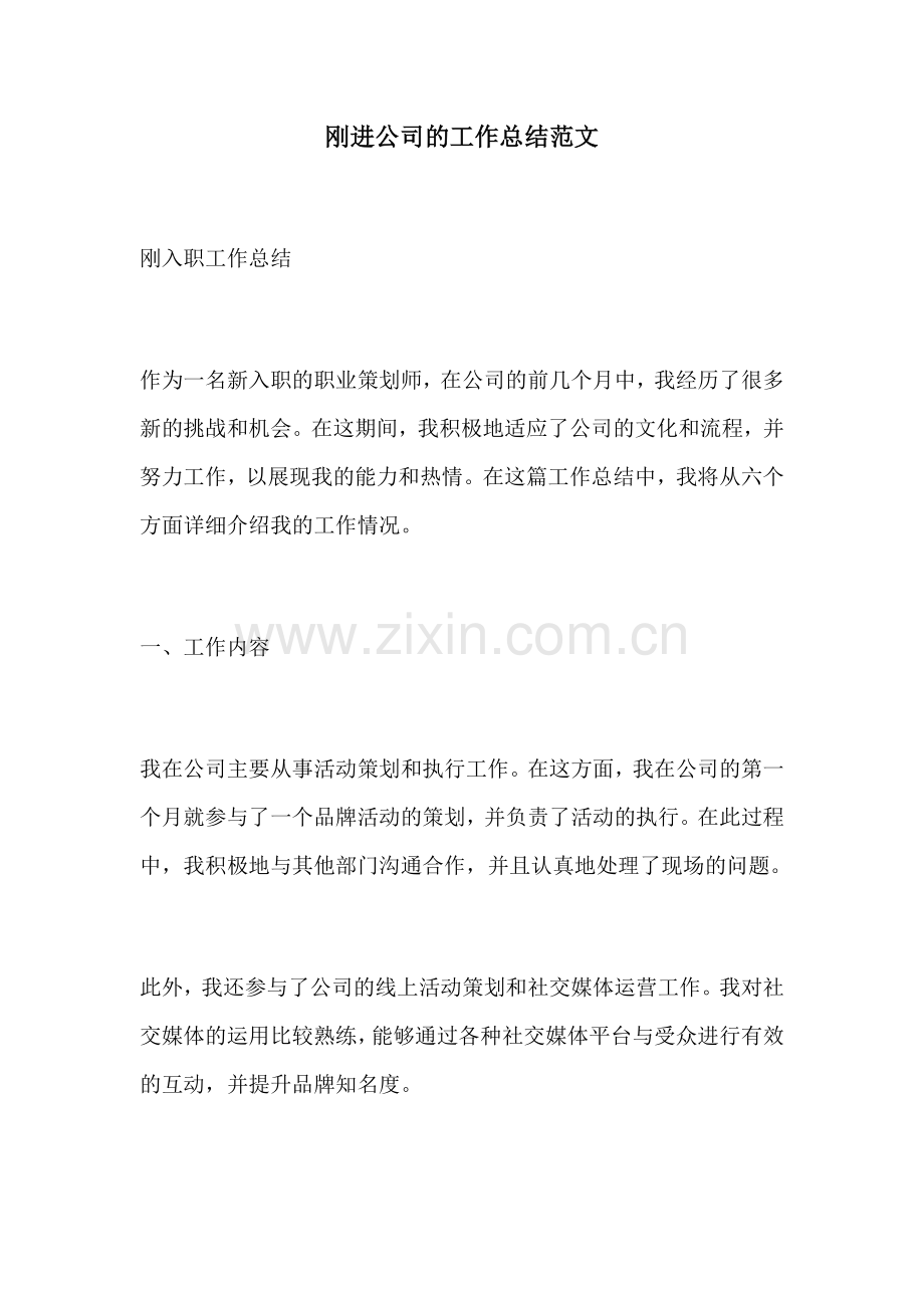 刚进公司的工作总结范文.docx_第1页