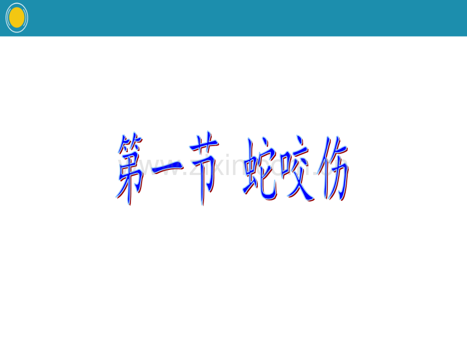 常见动物咬蜇伤总结.pptx_第2页