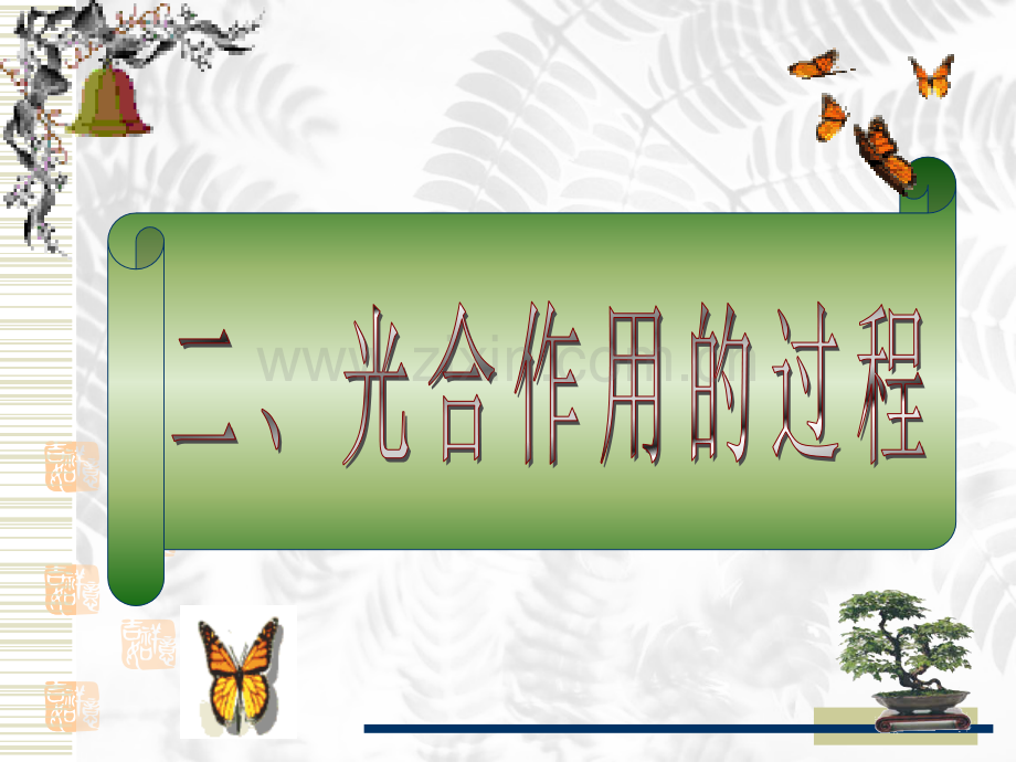人教版光合作用人教版.pptx_第1页