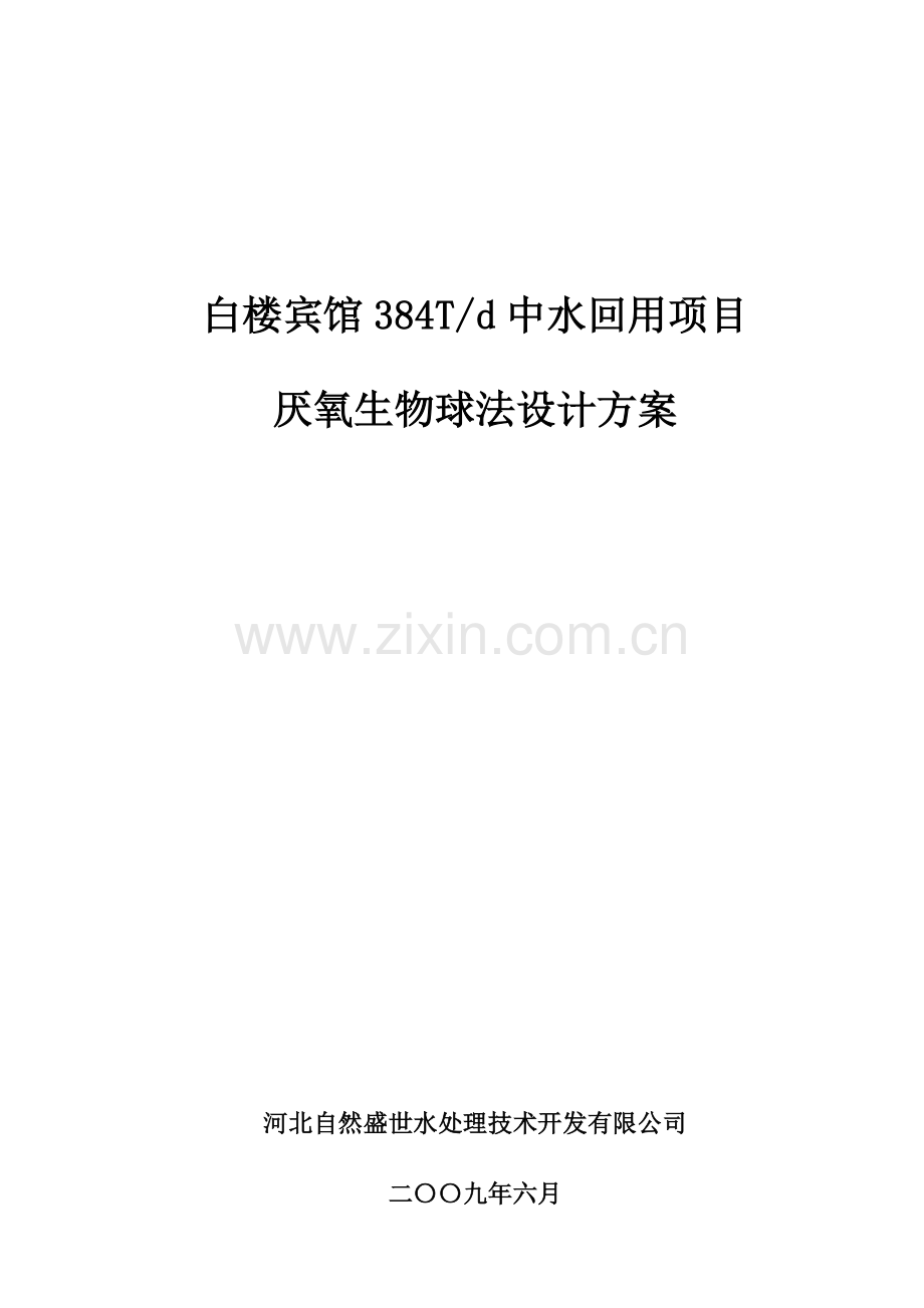 300T厌氧生物球工艺.docx_第1页