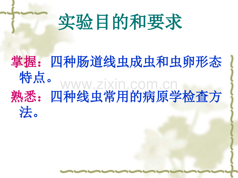 蛔虫钩虫蛲虫.ppt_第2页