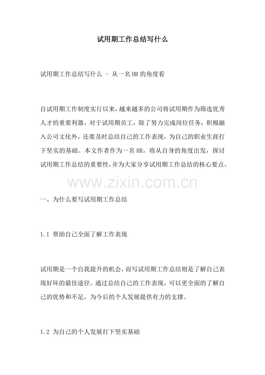 试用期工作总结写什么.docx_第1页