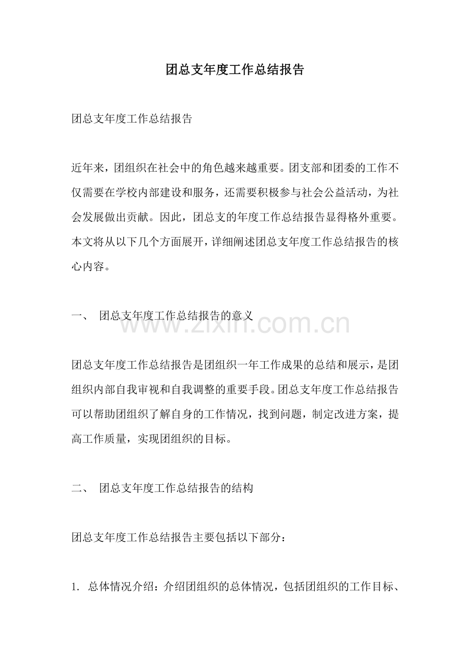团总支年度工作总结报告.pdf_第1页