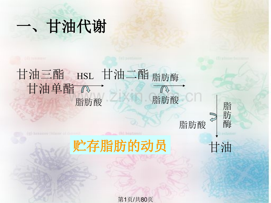 29脂类生物合成.pptx_第1页