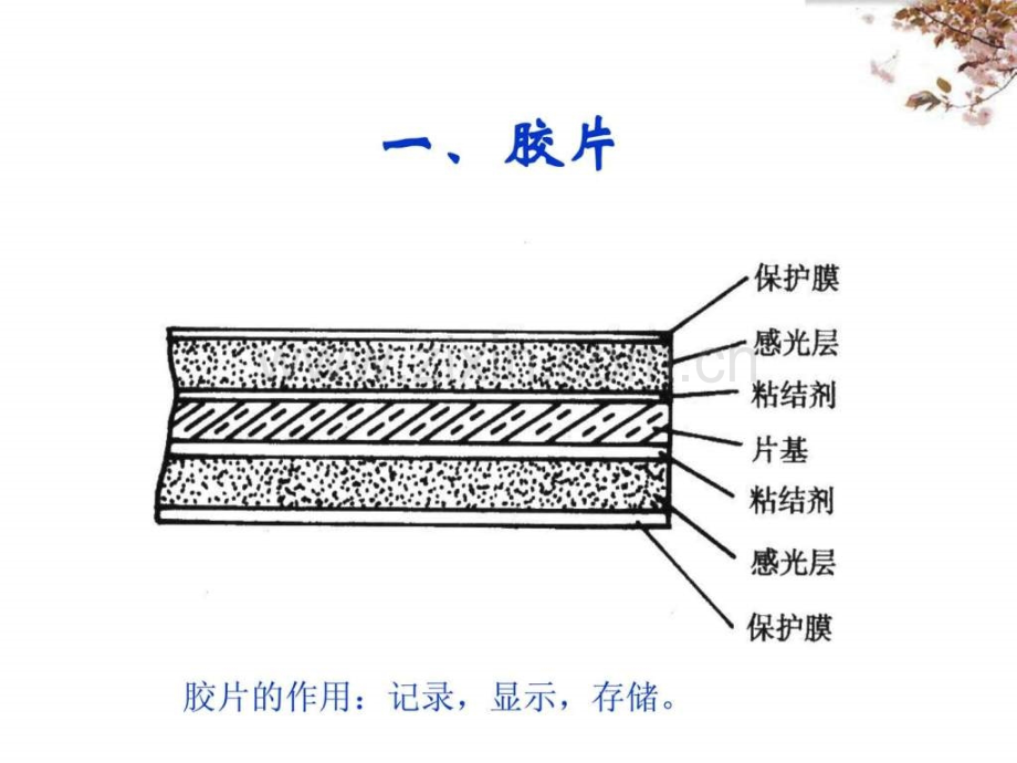 X射线的摄影与透视.pptx_第2页