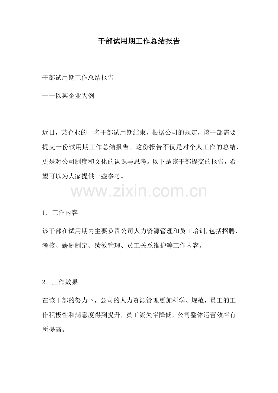 干部试用期工作总结报告.docx_第1页