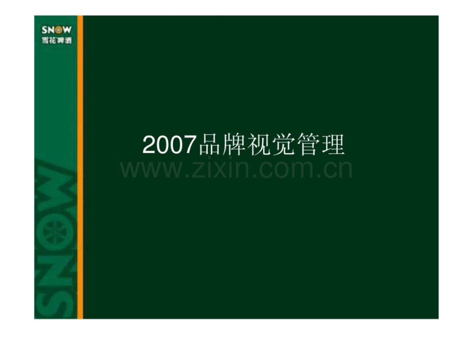 华润雪花啤酒品牌视觉管理.pptx_第1页