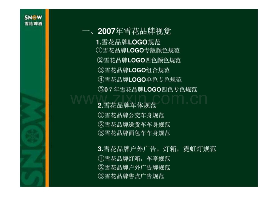 华润雪花啤酒品牌视觉管理.pptx_第2页
