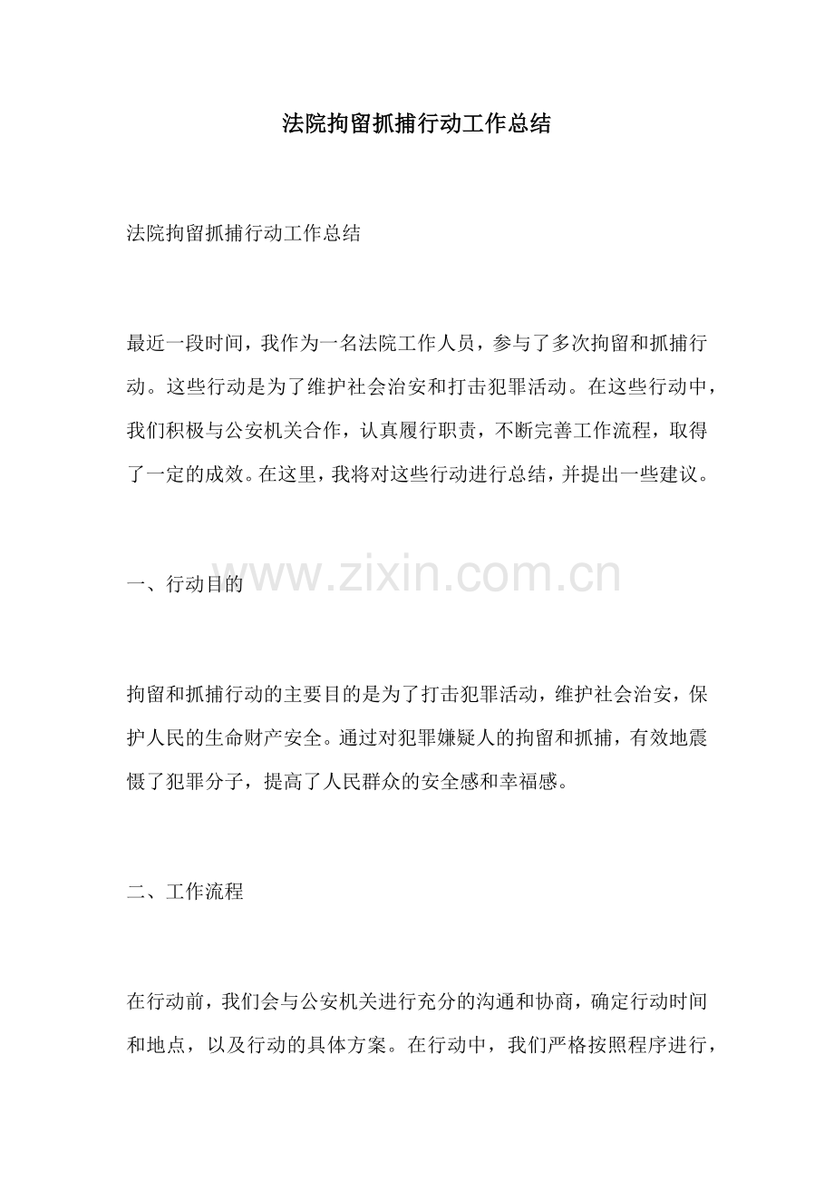 法院拘留抓捕行动工作总结.docx_第1页