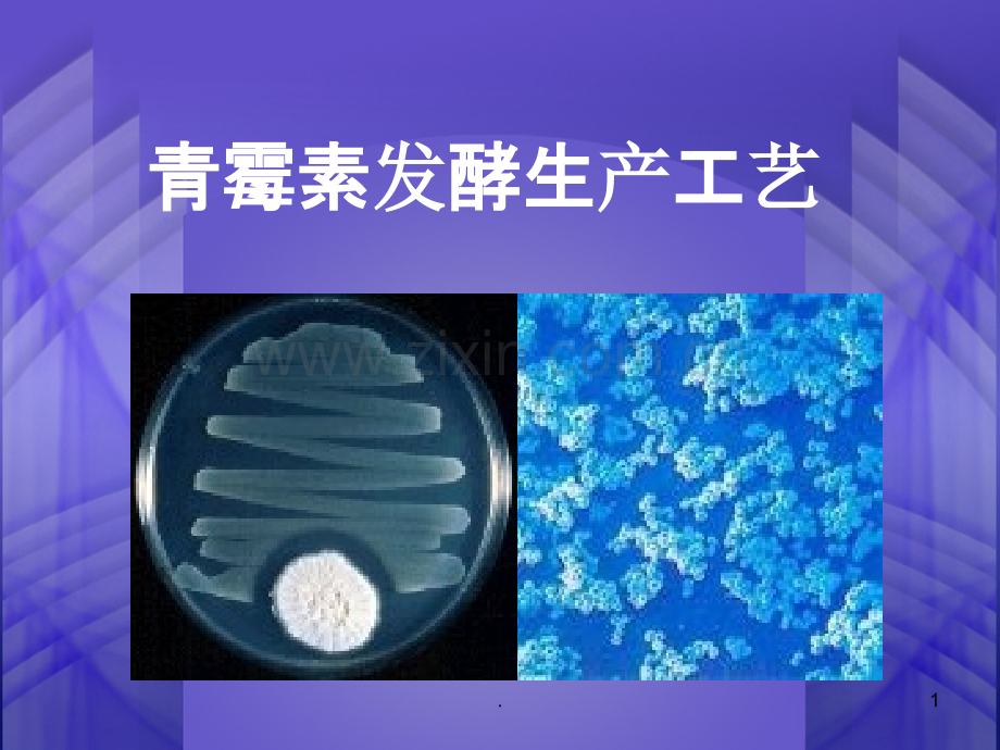 青霉素生产工艺PPT课件.ppt_第1页