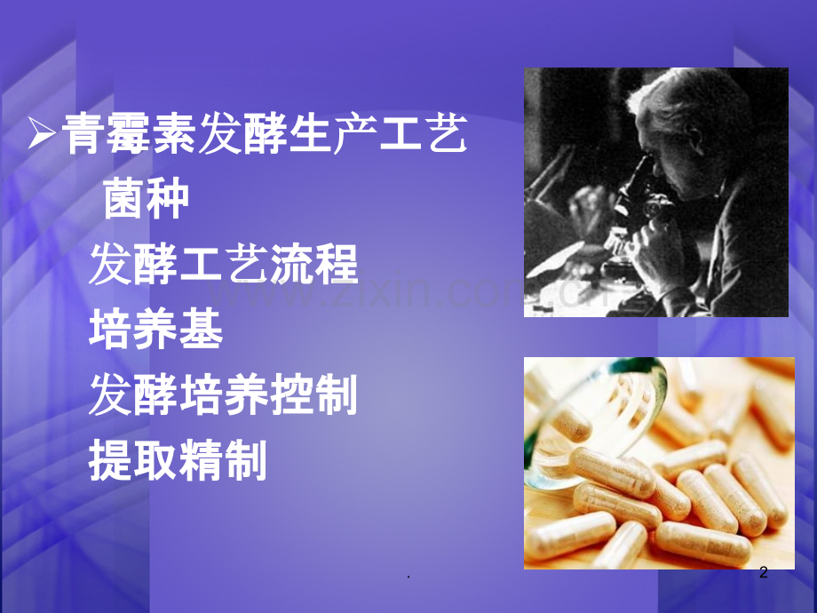 青霉素生产工艺PPT课件.ppt_第2页