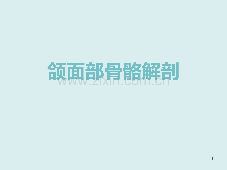 颌面部骨骼解剖.ppt_第1页