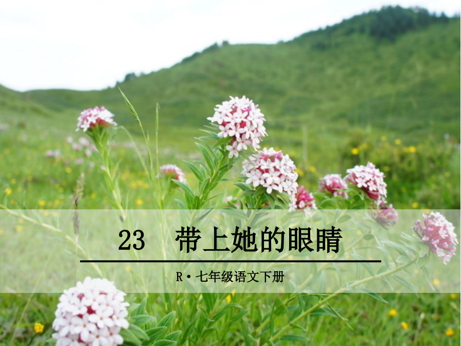 带上她的眼睛ppt优秀课件.ppt_第1页