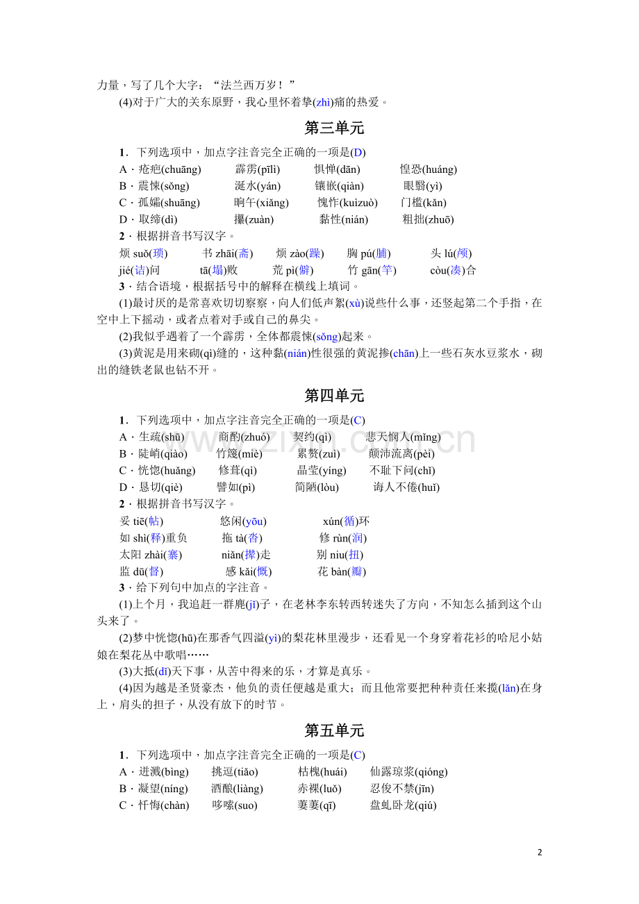 专项复习(一)-语音与汉字(2017)-(4).doc_第2页