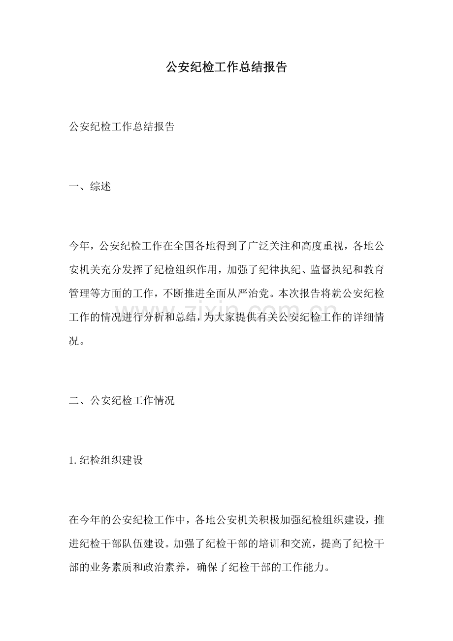 公安纪检工作总结报告.docx_第1页