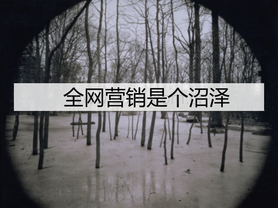 全网营销(ppt文档).ppt_第2页