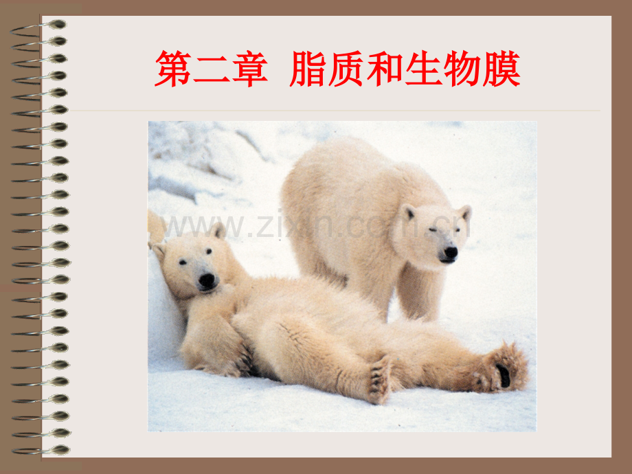 第二章-脂质和生物膜.ppt_第1页