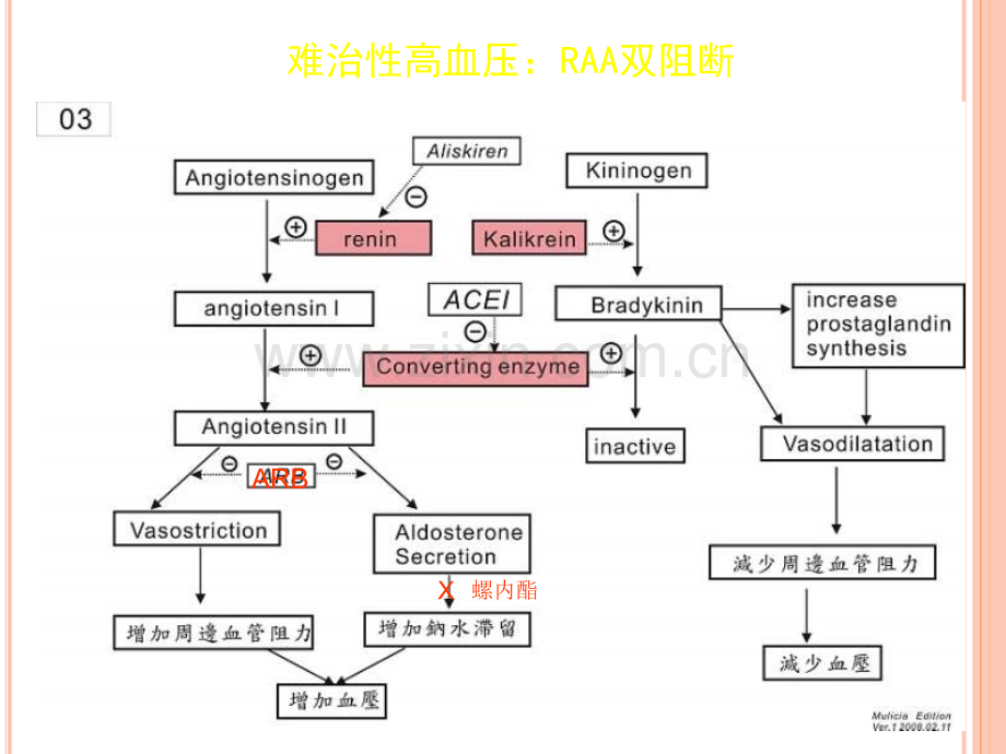 难治性高血压新策略.ppt_第2页