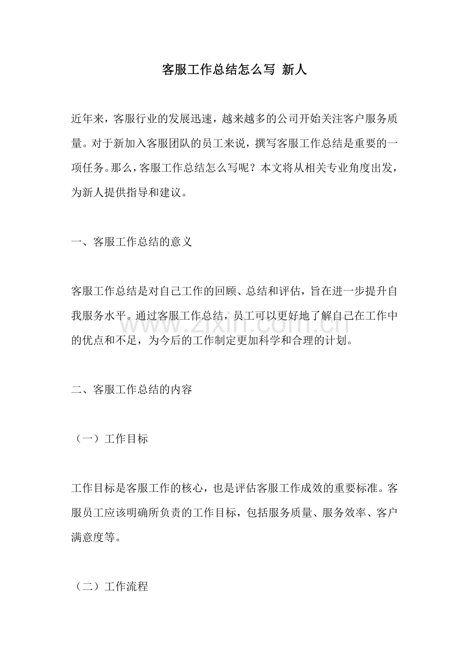 客服工作总结怎么写 新人.pdf_第1页