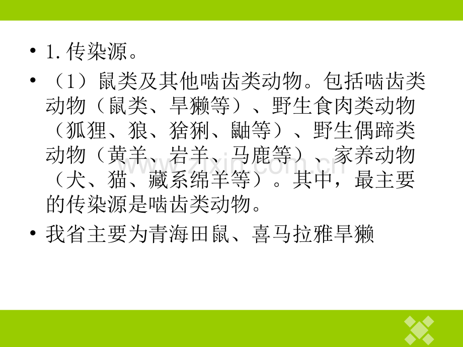 鼠疫防治知识.ppt_第2页