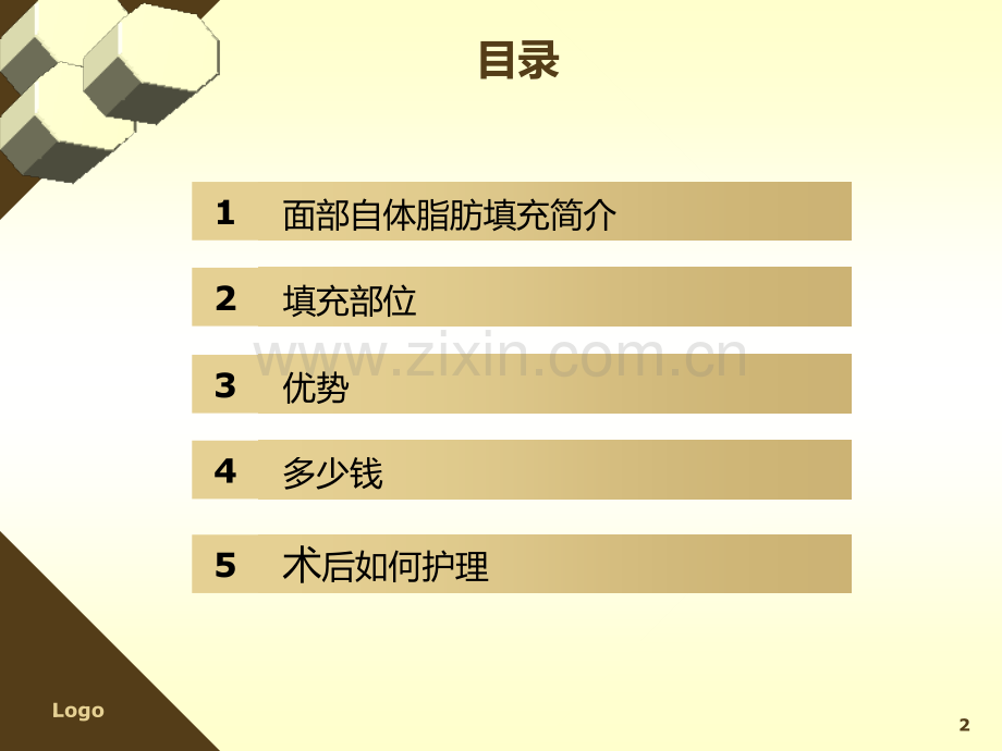 面部自体脂肪填充.ppt_第2页