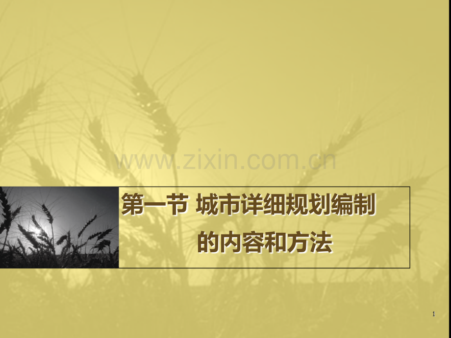 城市详细规划编制的内容和方法.ppt_第1页