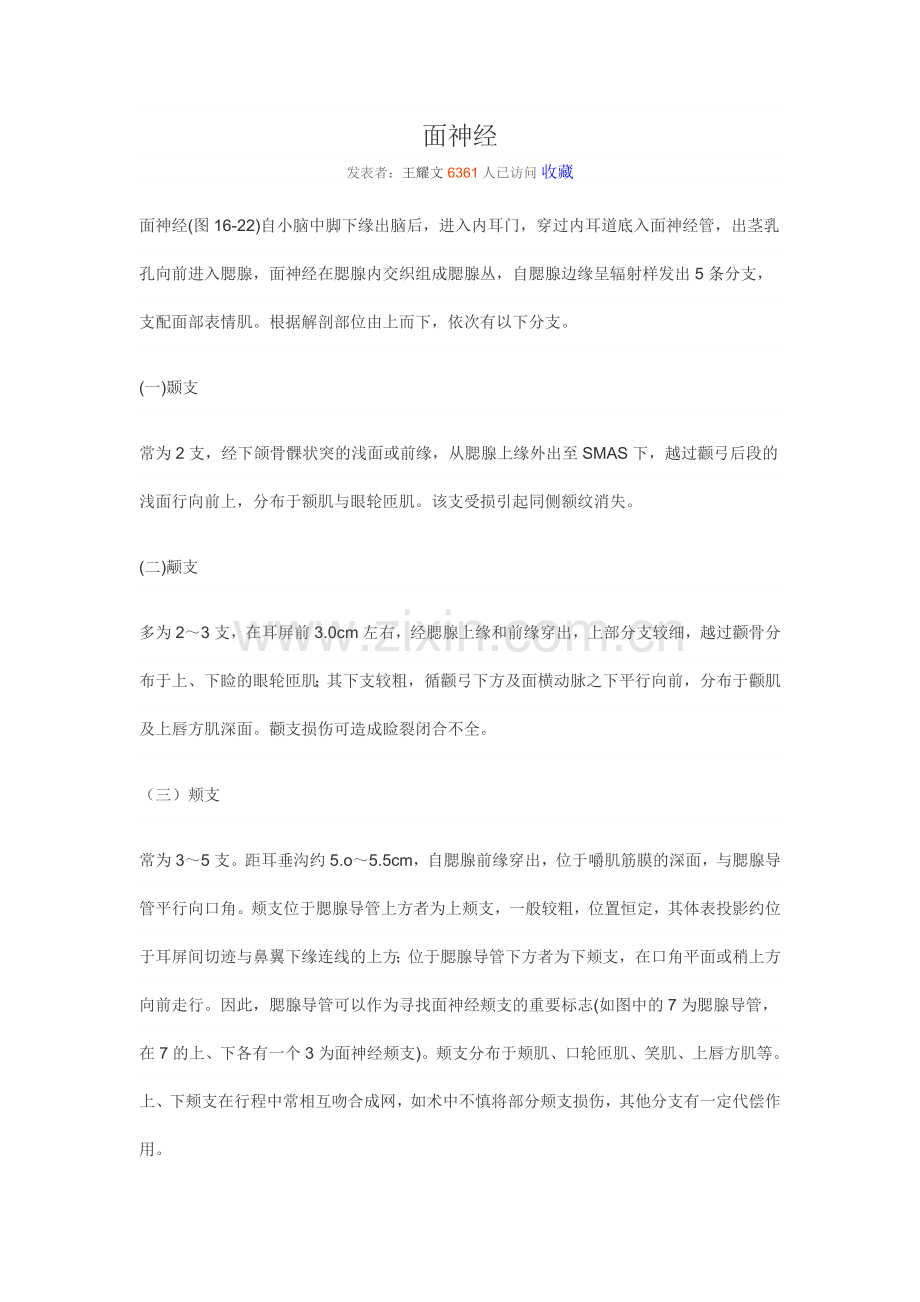 面神经解剖.doc_第1页