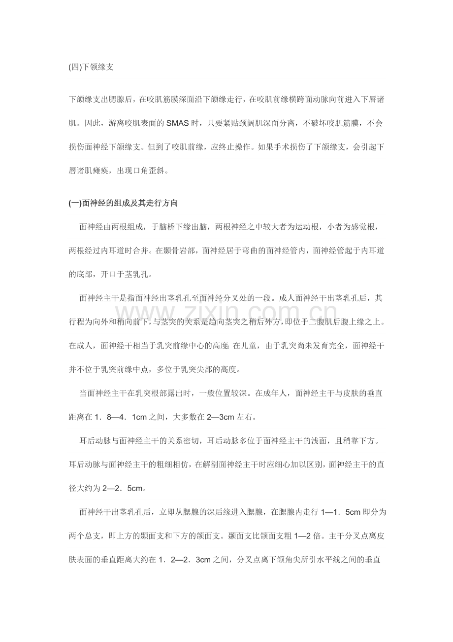 面神经解剖.doc_第2页