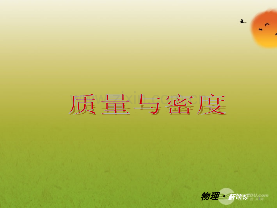 初中物理质量与密度总复习.ppt_第1页