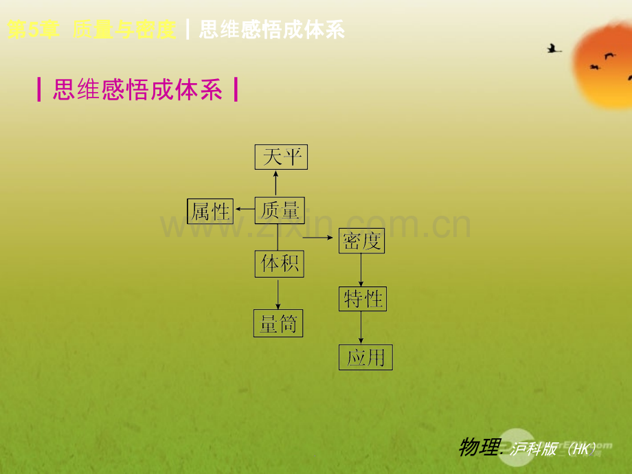 初中物理质量与密度总复习.ppt_第2页