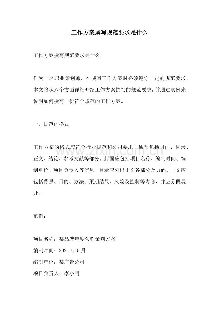 工作方案撰写规范要求是什么.docx_第1页