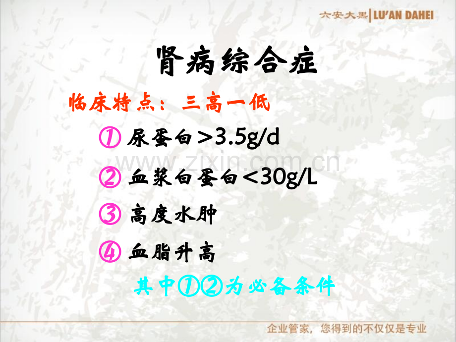 难治性肾病综合症.ppt_第2页