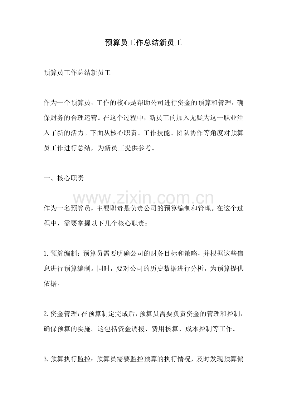 预算员工作总结新员工.pdf_第1页