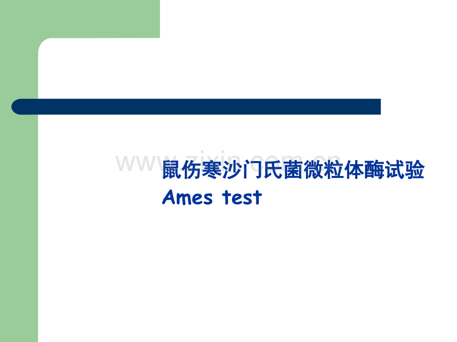 鼠伤寒沙门氏菌哺乳动物肝微粒体致突变性实验.ppt_第1页