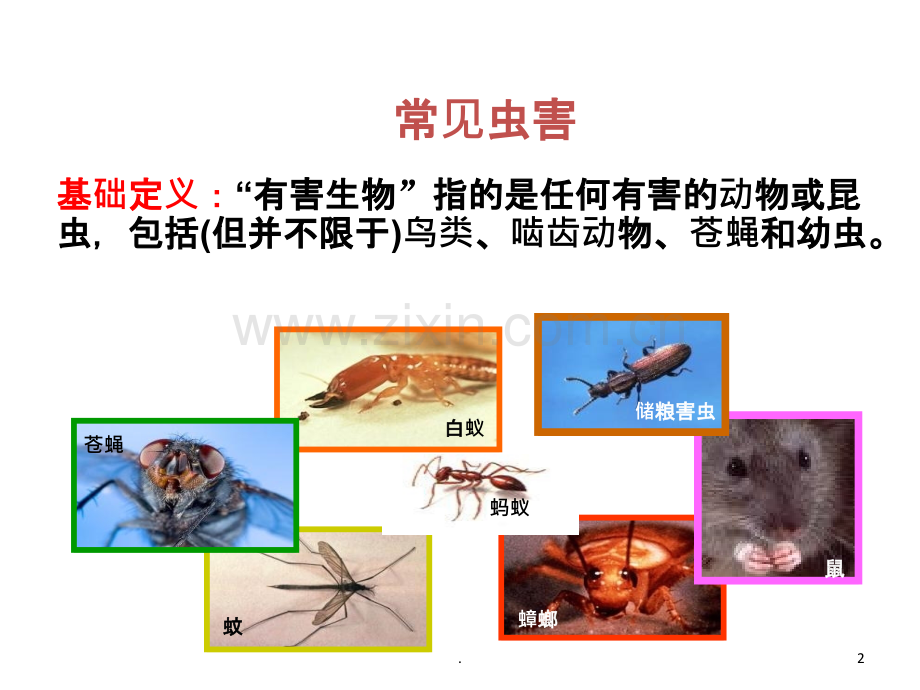虫鼠害控制.ppt_第2页