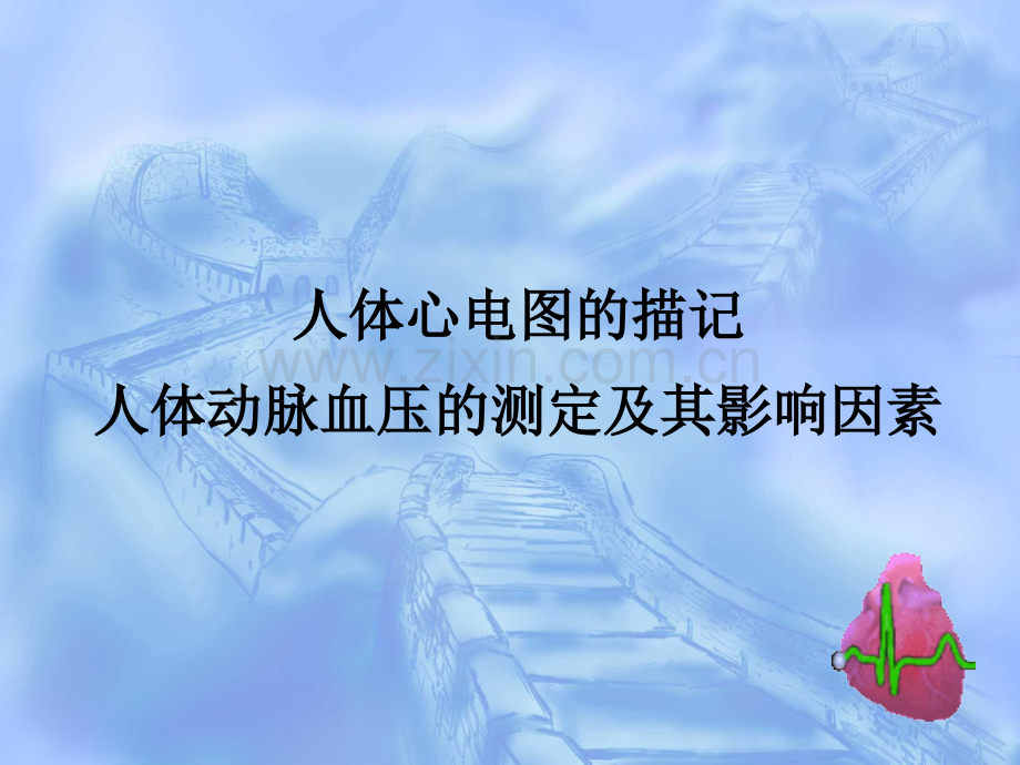 实验、心电图、血压.ppt_第1页