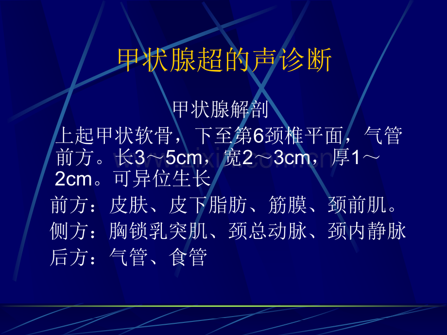 浅表超声诊断.ppt_第2页