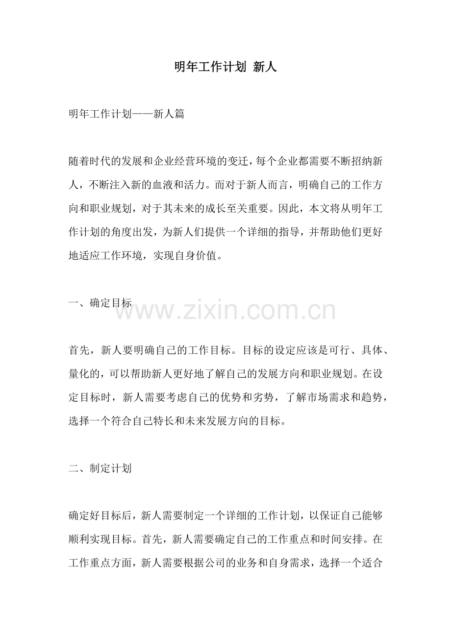明年工作计划 新人.docx_第1页