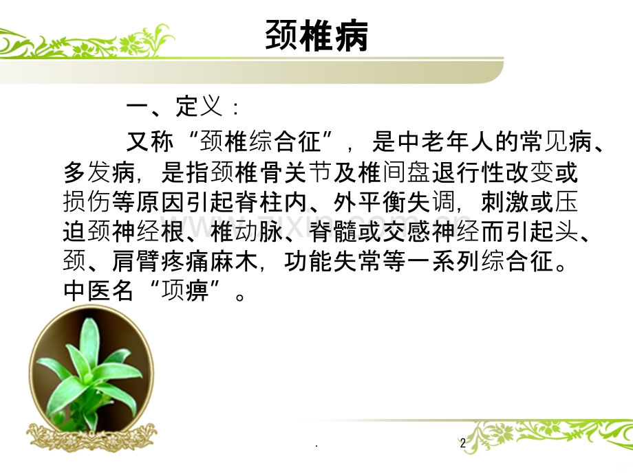 颈椎病落枕.ppt_第2页