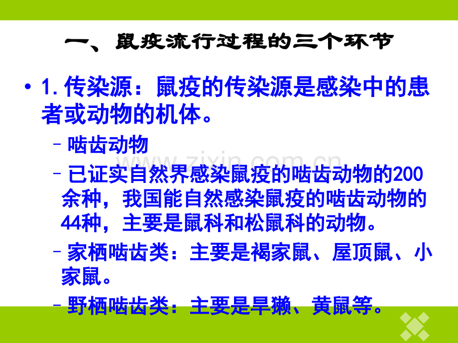 鼠疫的发病机制及其临床诊断与治疗.ppt_第2页