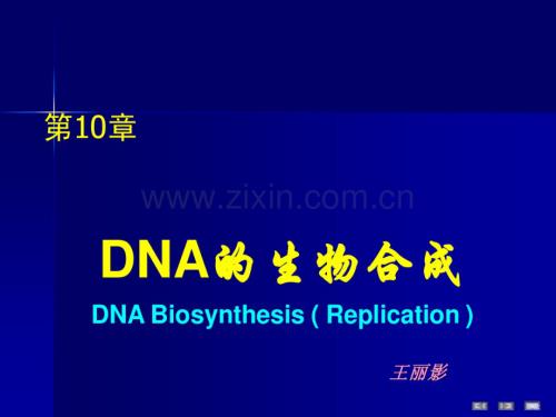生物化学第10章DNA的生物合成2012.pdf