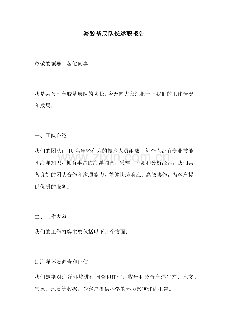 海胶基层队长述职报告.docx_第1页