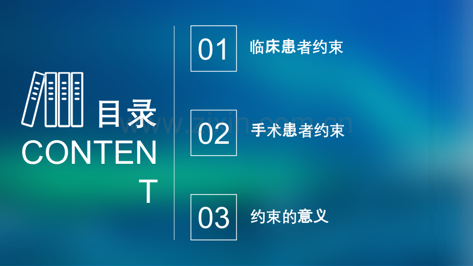 手术患者约束.ppt_第2页