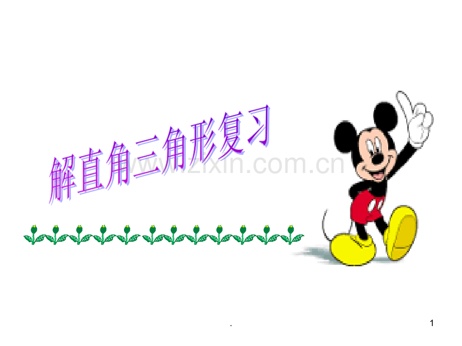 青岛版解直角角形复习.ppt_第1页