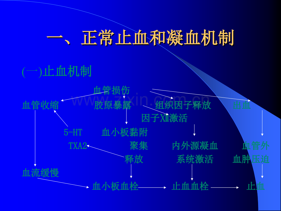 出血性疾病的诊断思路.ppt_第1页