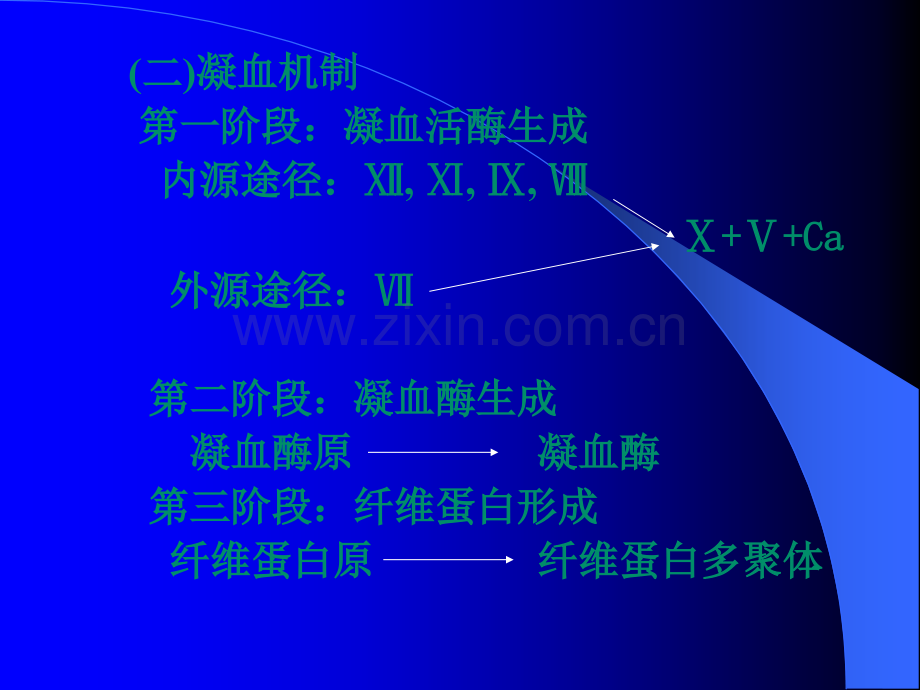 出血性疾病的诊断思路.ppt_第2页
