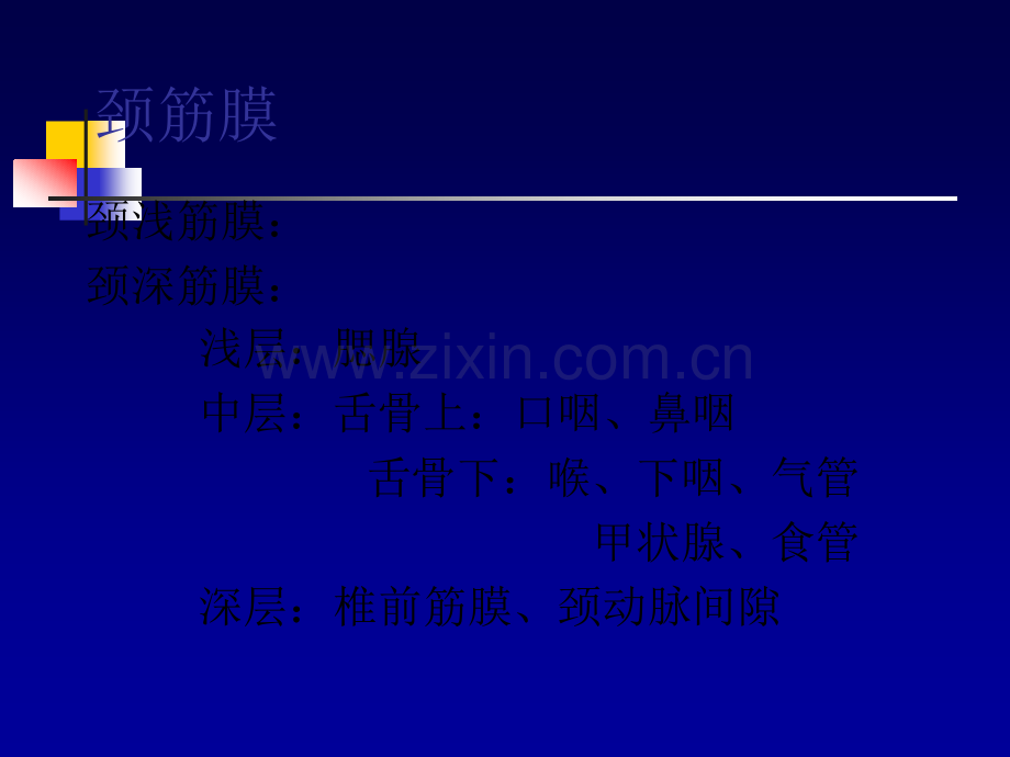 颈淋巴结分区.ppt_第1页