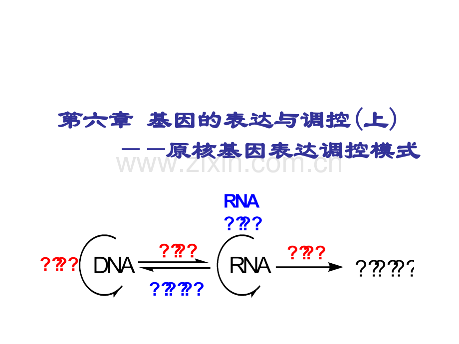 第六章-基因的表达与调控(上)——原核基因表达调控模式.ppt_第1页