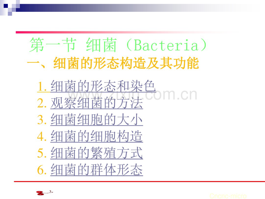 原核微生物形态结构.pdf_第2页