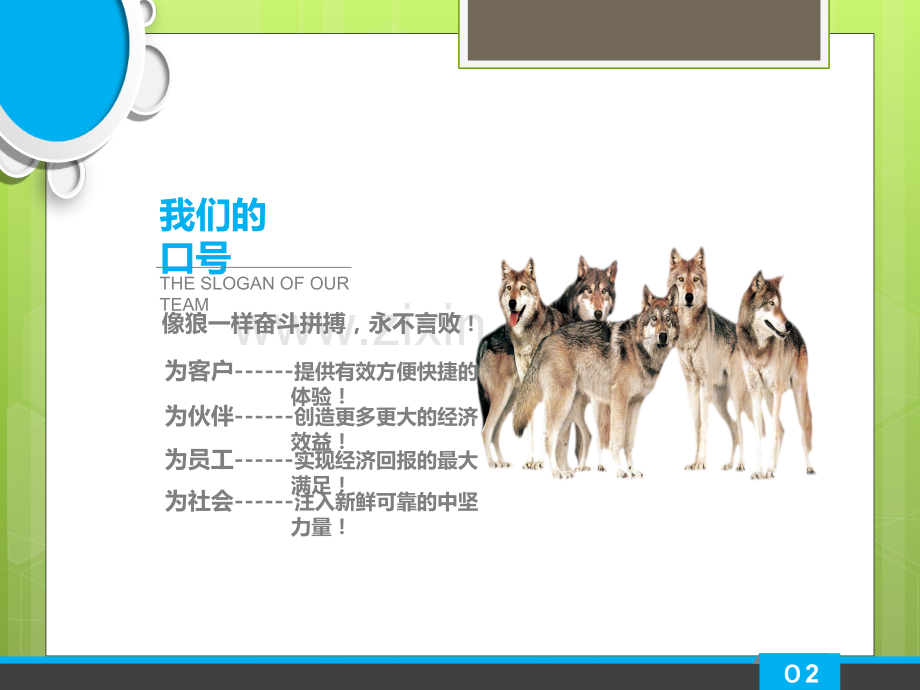 初创企业商业融资计划书.ppt_第2页